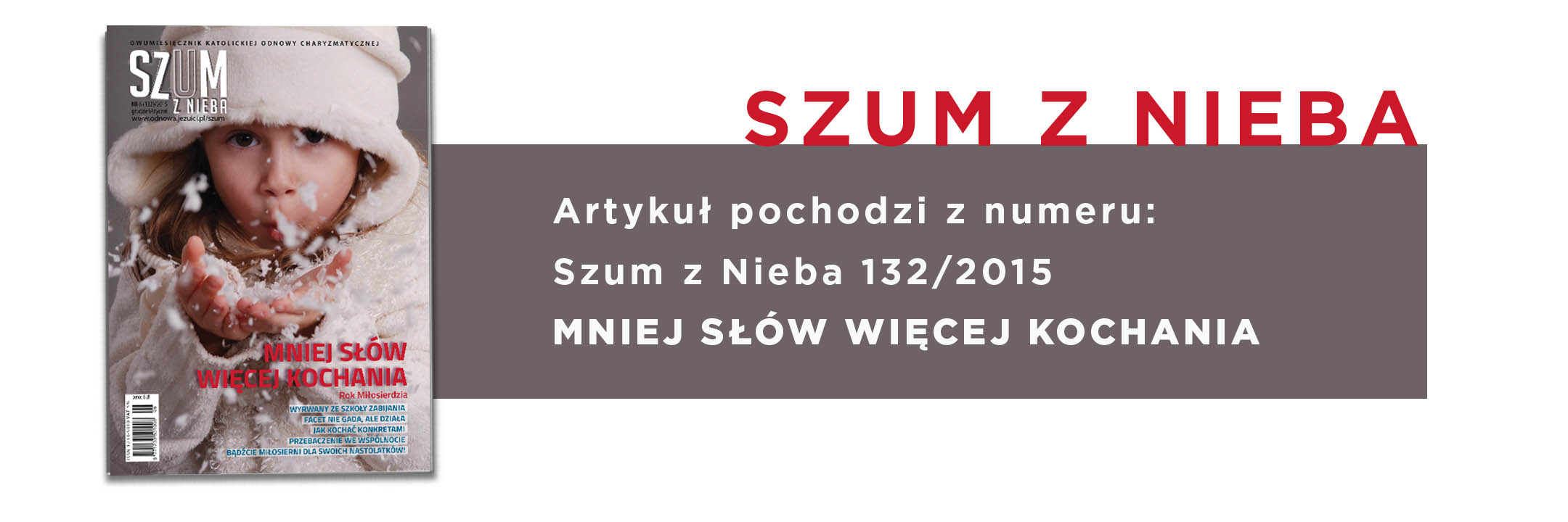 szum 132